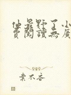 他最野了小说免费阅读无广告
