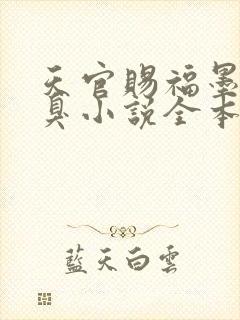 天官赐福墨香铜臭小说全本阅读全文