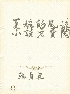 夏婉的风流人生小说免费阅读