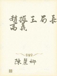 赵振王局长王乙高义封面