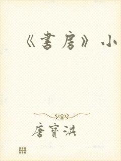 《书房》小说