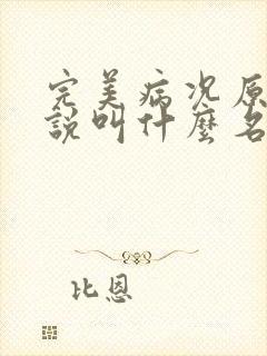 完美病况原著小说叫什么名字