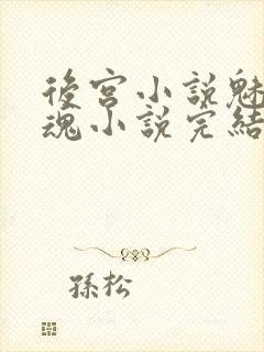 后宫小说魅影销魂小说完结版
