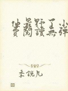 他最野了小说免费阅读无弹窗