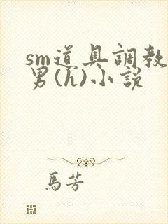 sm道具调教男男(h)小说