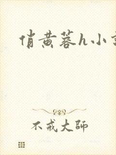 俏黄蓉h小说封面