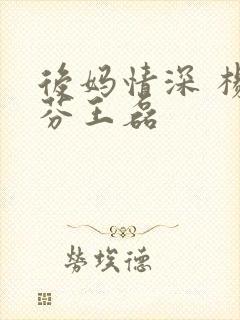 后妈情深 杨晓芬王磊封面