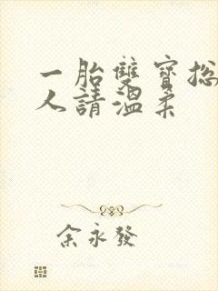 一胎双宝总裁大人请温柔