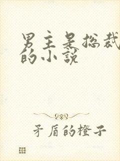 男主是总裁姓盛的小说