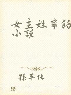 女主姓宁的现代小说