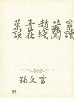 叶青赵若宁的小说在线阅读