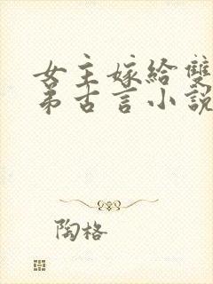 女主嫁给双生兄弟古言小说封面