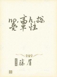 np,高h,总受单性
