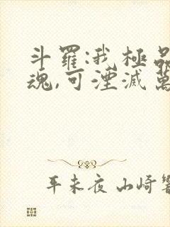 斗罗:我极品武魂,可湮灭万物