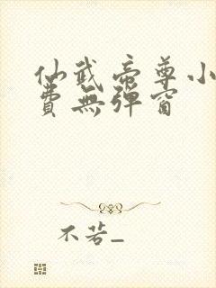 仙武帝尊小说免费无弹窗