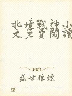 北境战神小说全文免费阅读封面