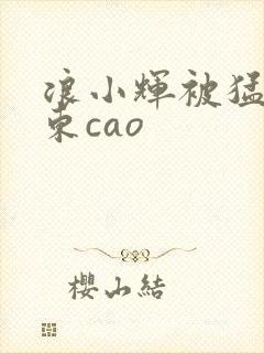 浪小辉被猛男房东cao