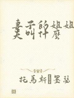 妻子的姐姐的丈夫叫什么