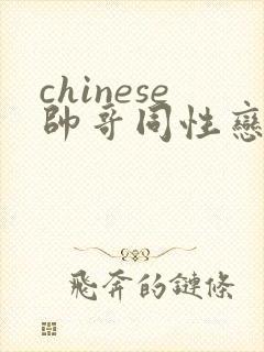 chinese帅哥同性恋gaymp4封面