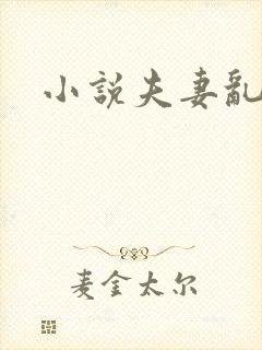 小说夫妻乱h