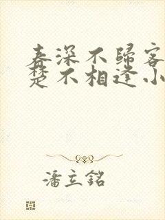 春深不归客,清楚不相逢小说封面