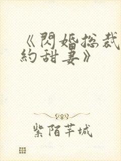 《闪婚总裁的契约甜妻》