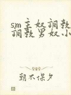 sm主奴调教:调教男奴小说