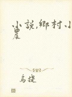 小说,乡村小神农