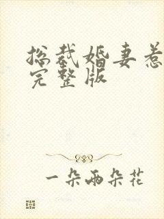 总裁婚妻惹人爱完整版