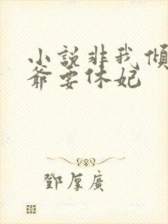 小说非我倾城王爷要休妃