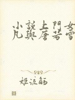 小说上门女婿叶凡与唐若雪封面