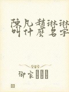 陈凡赵琳琳小说叫什么名字来着