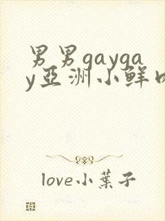 男男gaygay亚洲小鲜肉网站封面