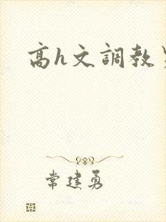 高h文调教男男