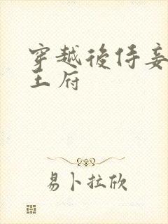 穿越后侍妾苟在王府