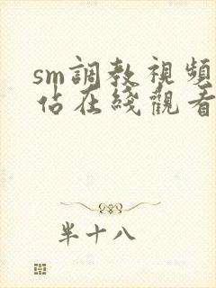 sm调教视频网站在线观看