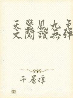 天医凤九免费全文阅读无弹窗封面