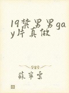 19禁男男gay片真做