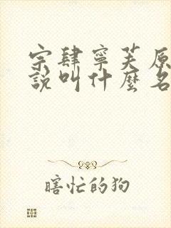 书籍封面