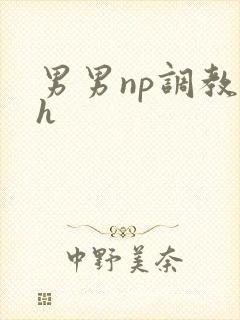 男男np调教高h