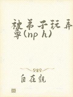 被弟子玩弄的师尊(np h)