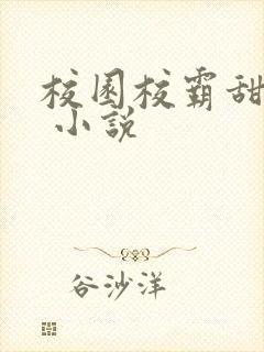 校园校霸甜宠文 小说
