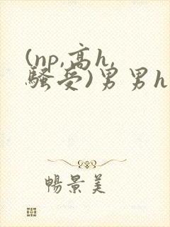 (np,高h,骚受)男男h封面