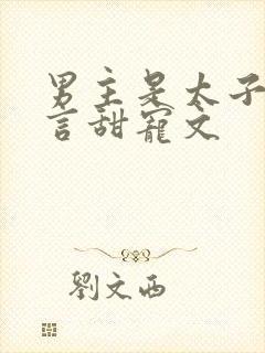 男主是太子的古言甜宠文