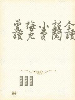 曾梅小说全文阅读免费阅读最新章节