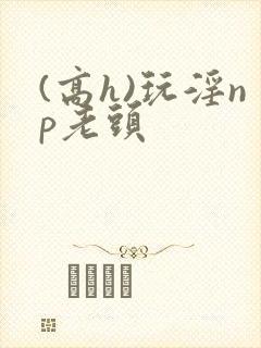 (高h)玩淫np老头封面