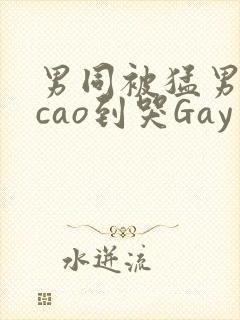男同被猛男房东cao到哭Gay