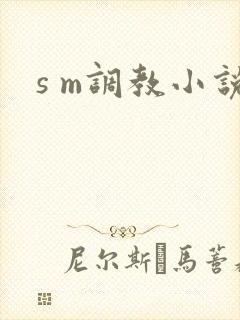 s m调教小说