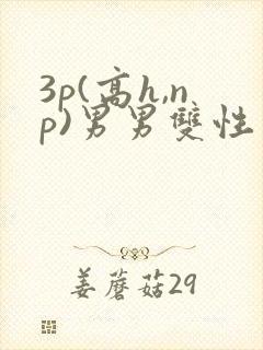 3p(高h,np)男男双性