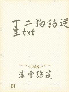 丁二狗的逆袭人生txt